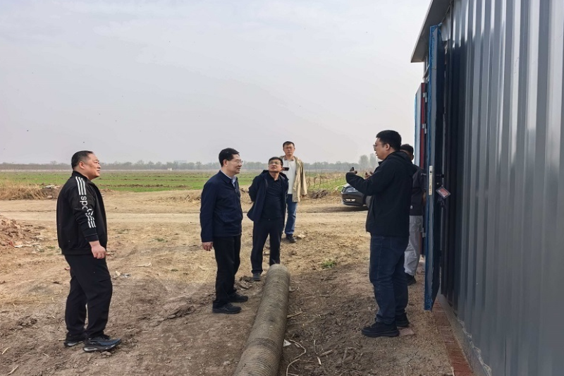 天津市农业农村委实地查看2025年玉米单产提升项目建设情况