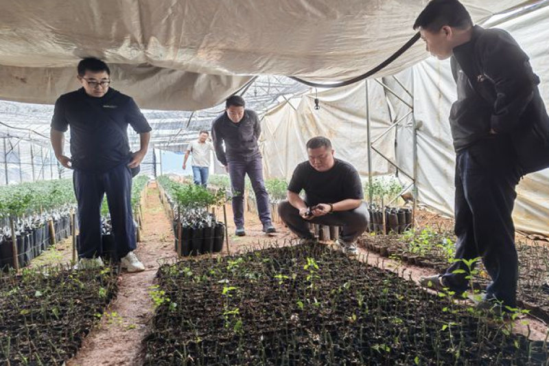 广西重点实验室科技人员赴重庆市、云南省开展百香果产业调研与生产指导