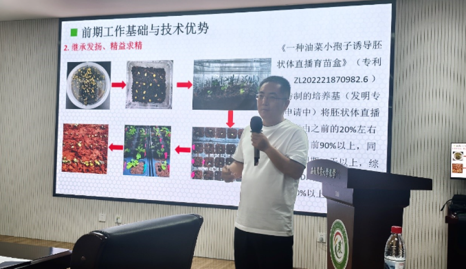 聚焦种质创新 服务产能提升 ——油菜种质资源改良计划2026年推进会在合肥召开