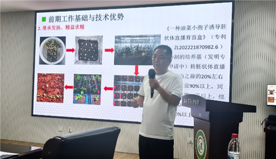 聚焦种质创新 服务产能提升 ——油菜种质资源改良计划2026年推进会在合肥召开